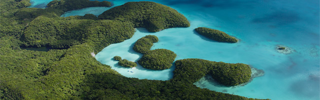 Excursions in Palau